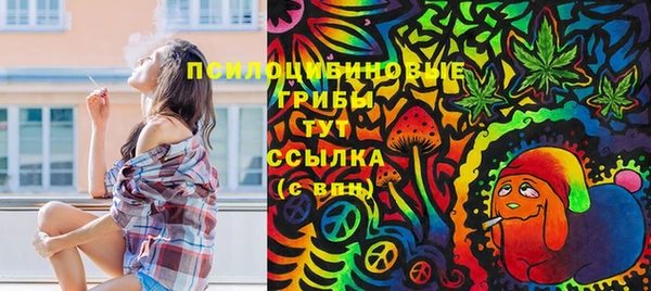 прущие крисы Беломорск