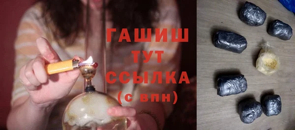 мдпв Ладушкин