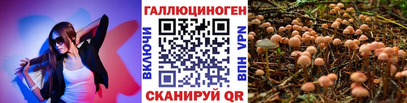 Галлюциногенные грибы Cubensis  Бузулук 
